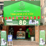 Showroom 2: Tinh Hoa Cỏ Cây - Đông Anh