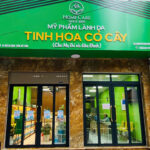 Showroom 3: Tinh Hoa Cỏ Cây - Mỹ Đình